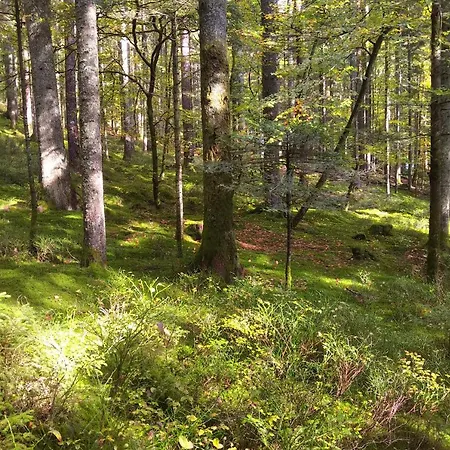 度假居 Tiny-ferienhaeusle Casa Wendy