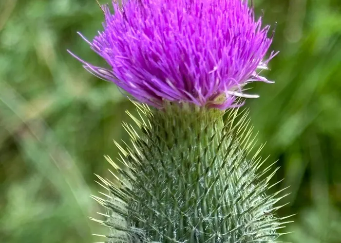 Tiny-ferienhaeusle Casa Wendy Semesterbostad *